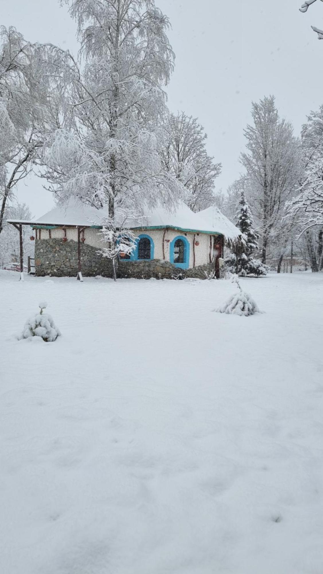 Viewtopia The Secret Land Valea Draganului Exterior photo