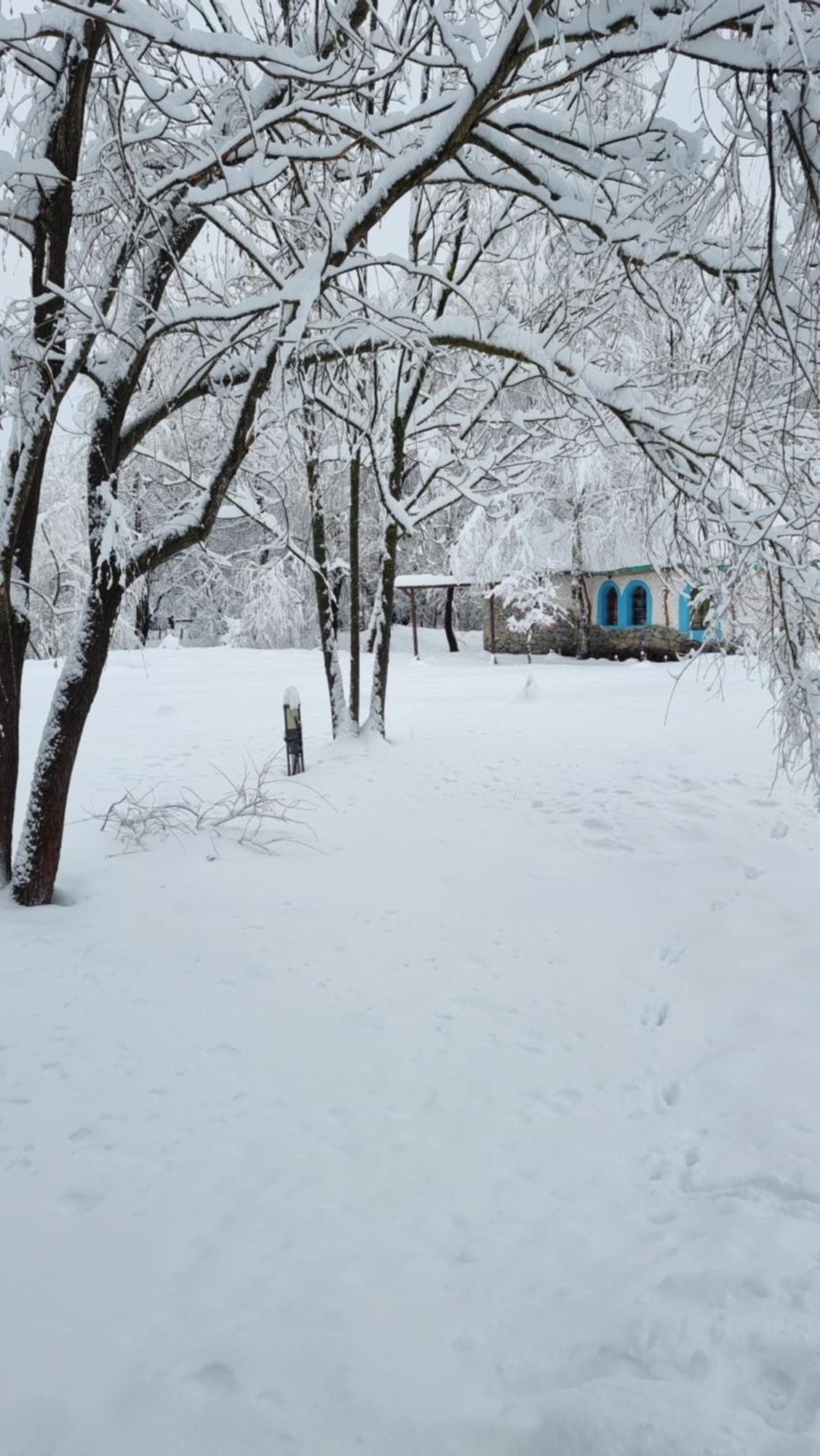 Viewtopia The Secret Land Valea Draganului Exterior photo