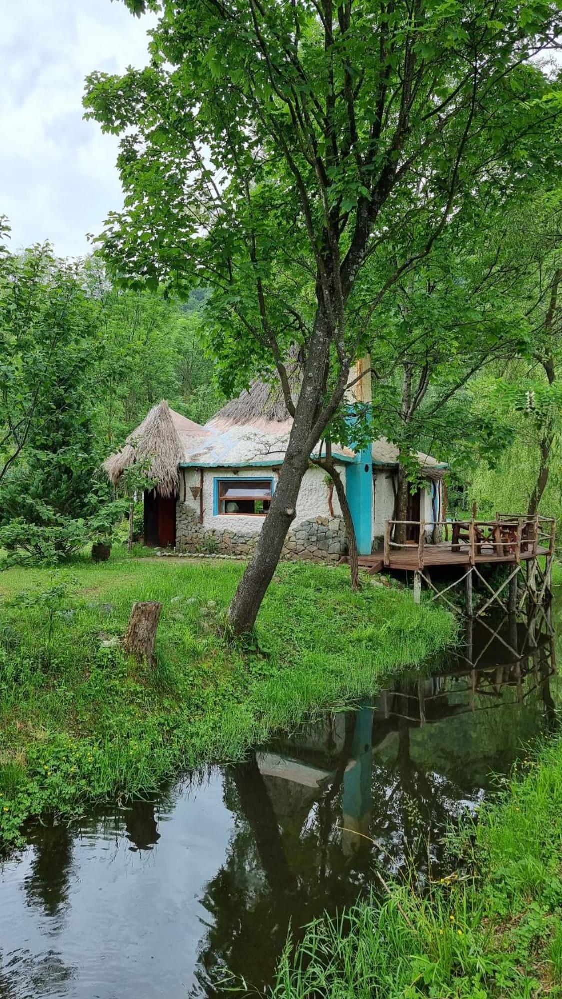 Viewtopia The Secret Land Valea Draganului Exterior photo